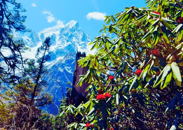 best-time-trekking-in-nepal