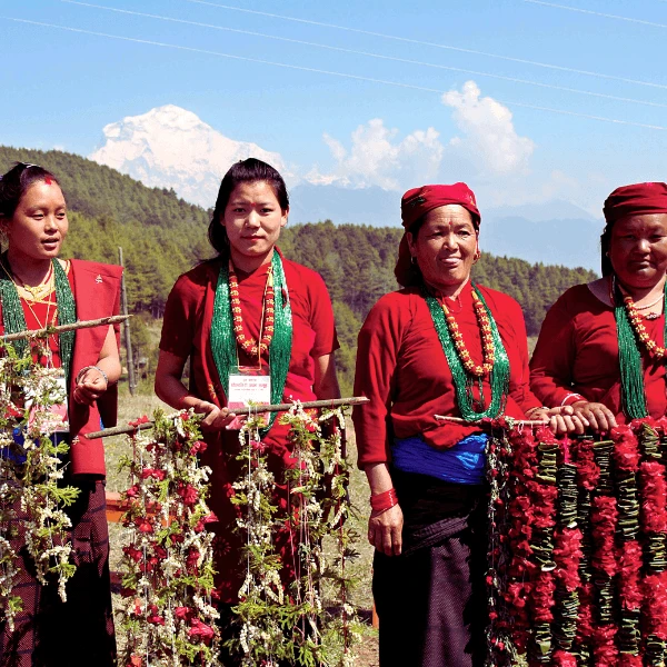 Ghorepani Poonhill trek - 3 Days