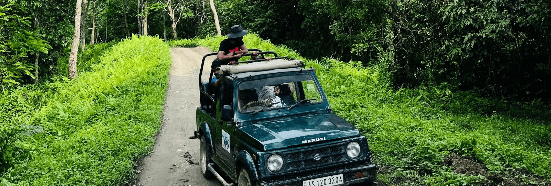 Jungle safari tour in Chitwan