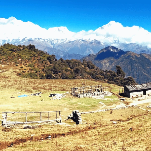 Mohare Danda Trek