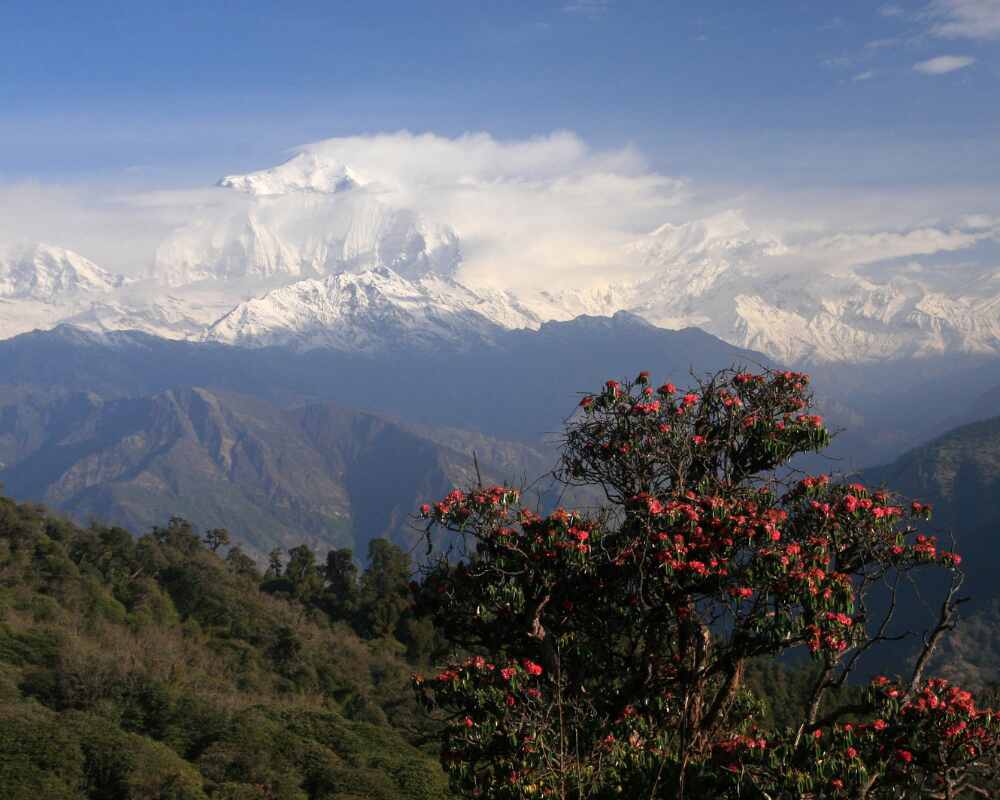 Poon Hill Trek