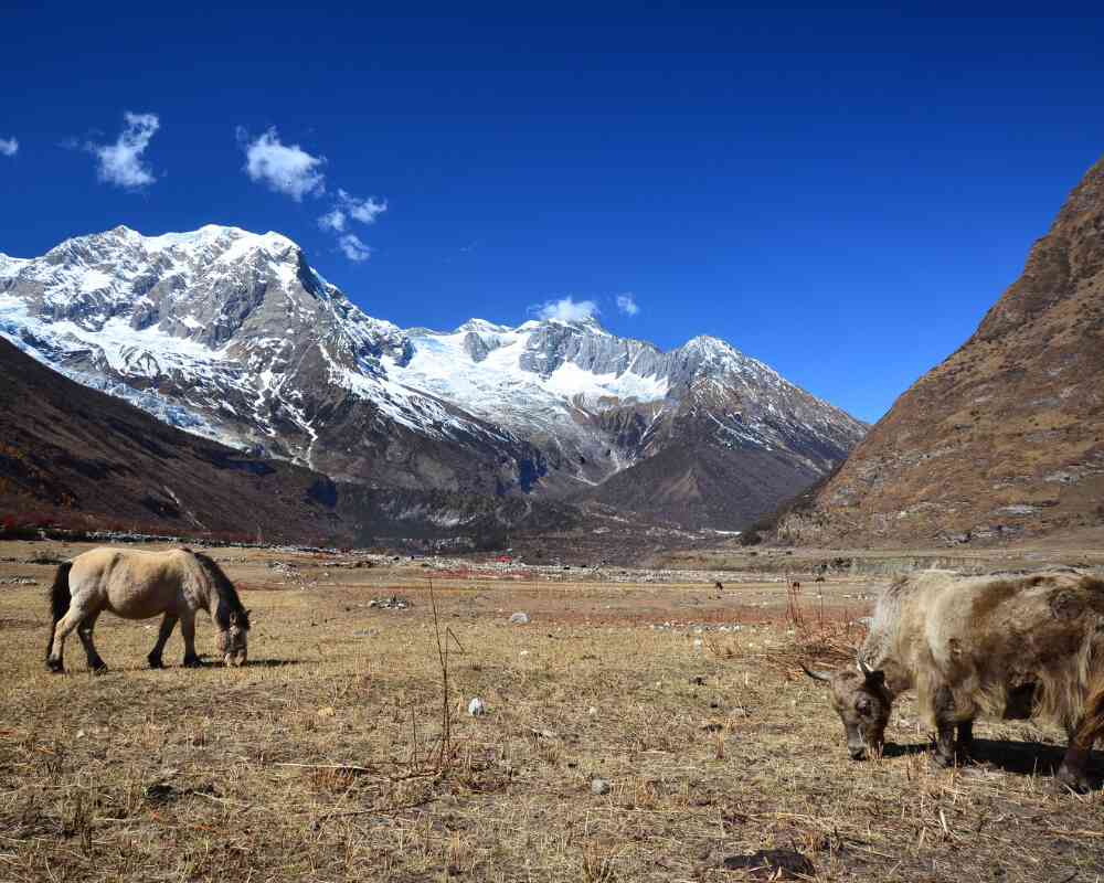 Samdo- Manaslu Circuit Trek