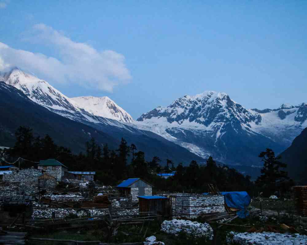 Shyala