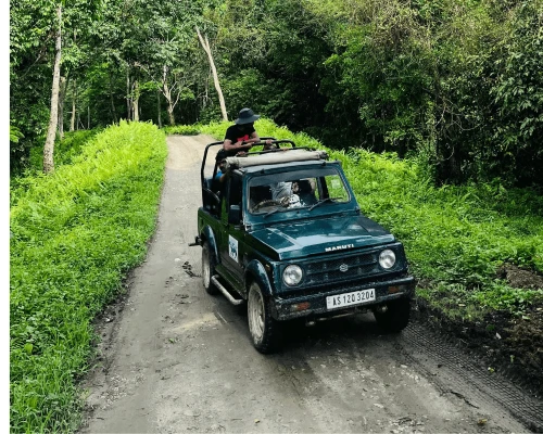 Chitwan National Park Visit By Jeep