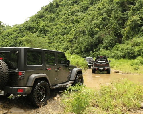 Jeep Safari In Chitwan