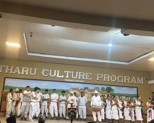 Tharu Cultural Dance